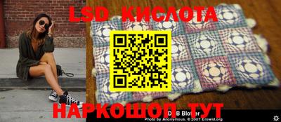 ПСИЛОЦИБИНОВЫЕ ГРИБЫ Краснодар