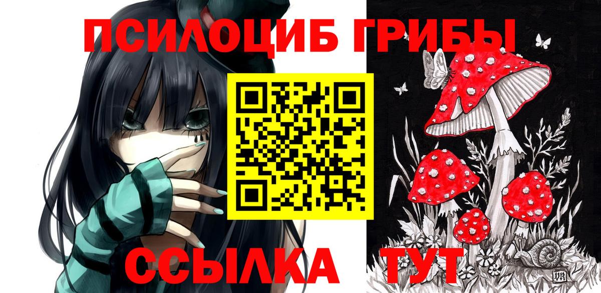 Галлюциногенные грибы Psilocybe  закладка  Кировск  Вход с VPN  Псилоцибиновые грибы Magic Shrooms 