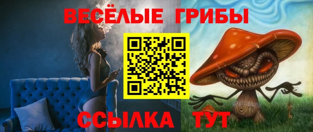 Псилоцибиновые грибы Cubensis Кировск